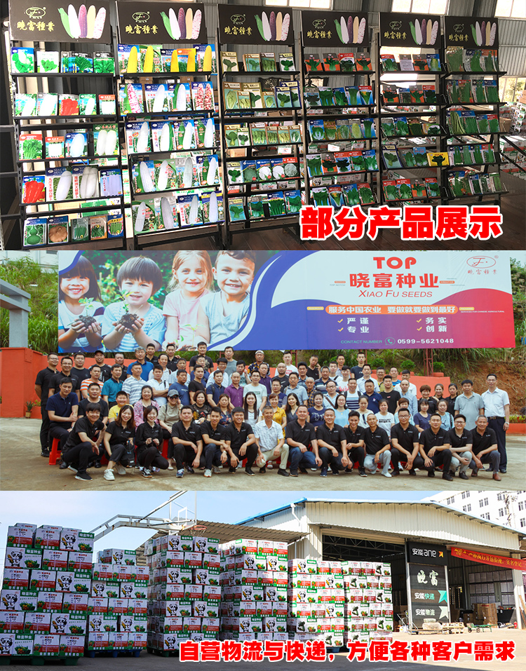 公司加獎(jiǎng)牌2_05